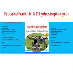 Procaine Penicillin & Dihydrostreptomycin