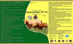 Cypermethrin 10% EC
