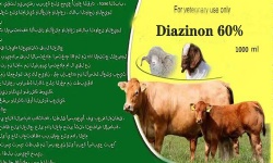 Diazinon 60% EC