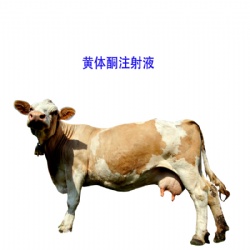 Progesterone INJ.