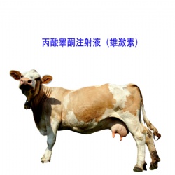 Testosterone Propionate INJ.