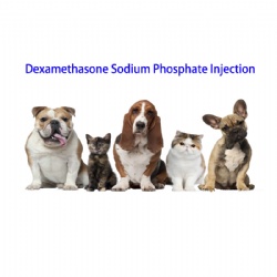 Dexamethasone Sodium Phosphate INJ.