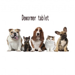 deWormer tablet