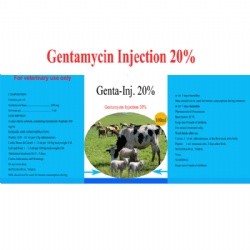 Gentamycin injection