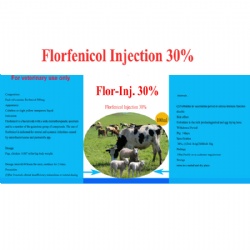 Florfenicol injection 30%