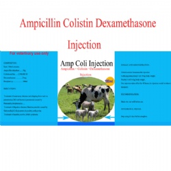 Ampicillin Colistin Dexamethasone  Injection