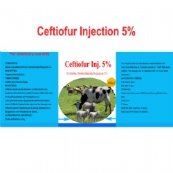 Ceftiofur Hydrochloride Injection  5%